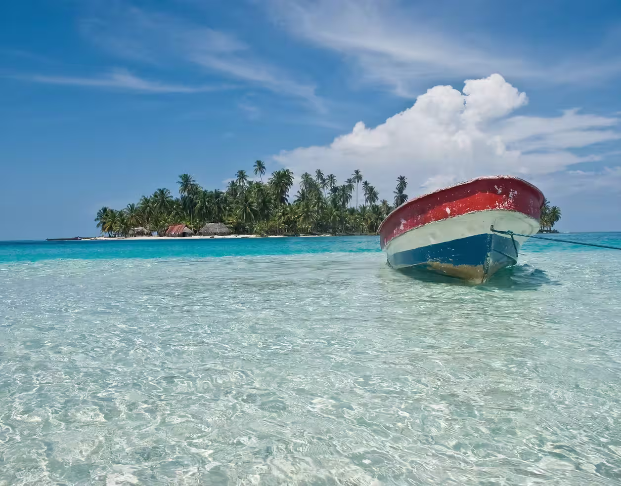 Illustration du concept