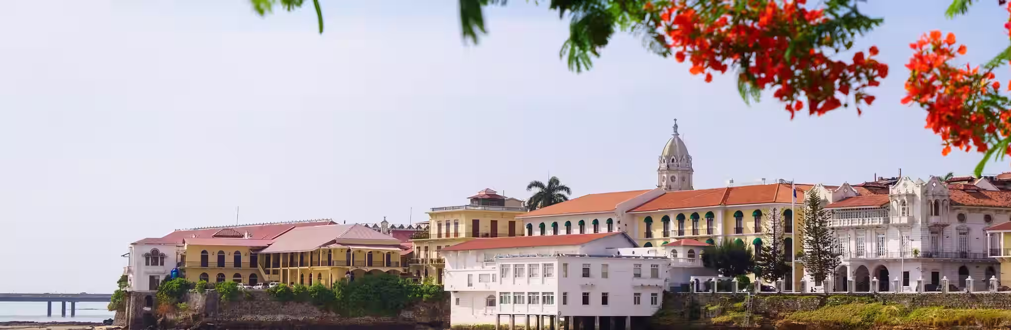 Développeur nouveau pays